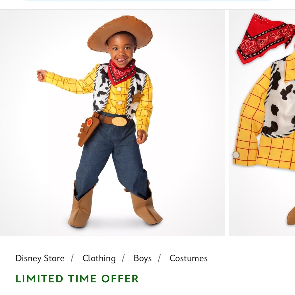 Disney Woody Toy Story Toddler Costume
